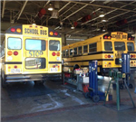 Buses 